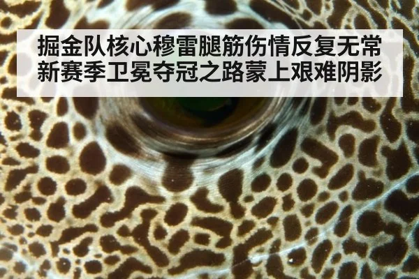 掘金队核心穆雷腿筋伤情反复无常 新赛季卫冕夺冠之路蒙上艰难阴影